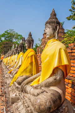 Aligned statues of Buddha