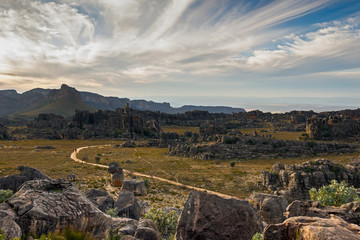 Fototapeta na wymiar Heavenly trails Africa.