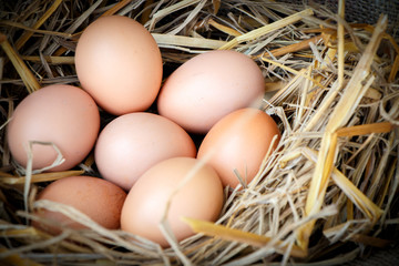 Group of raw eggs put on straw in farm