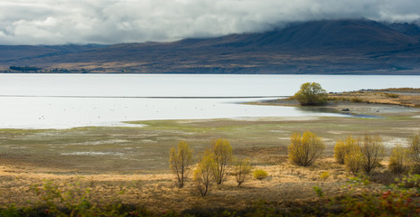 Landscape of South island, New Zealand