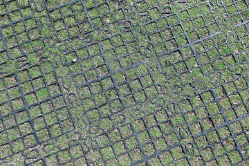 Lawn lattice of ecological parking