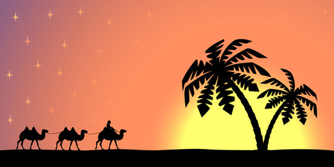 Man with camels at sunset.