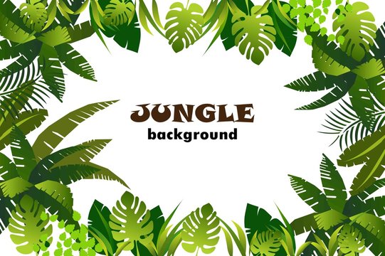 jungle. background. vector illustration.