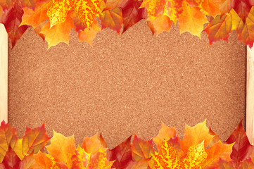 Naklejka na ściany i meble autumn maple leaves over cork board background