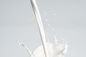 Milk Splash