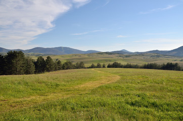 Path through green field to hills