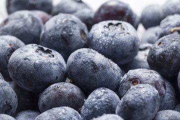 Blueberry fruit closeup