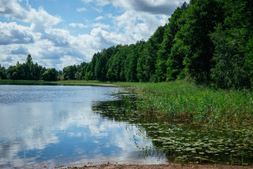 Lake surrounded by forest