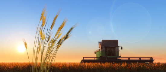 wheat harvester © juanjo