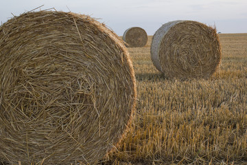 straw bales in the sunset