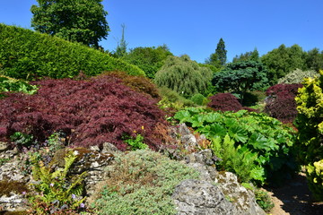 A Rockery garden in the Kent countryside in August.

