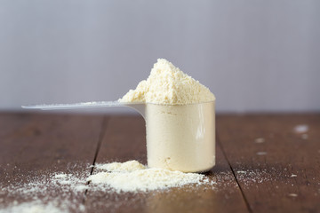 one scoop of why protein