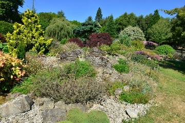 Fototapeta na wymiar A Rockery garden in the Kent countryside in August. 