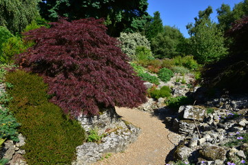 A Rockery garden in the Kent countryside in August.
