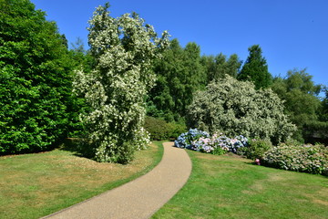 A garden pathway at an English country garden in summer.