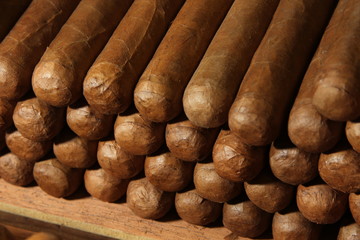 Pile of cuban cigars