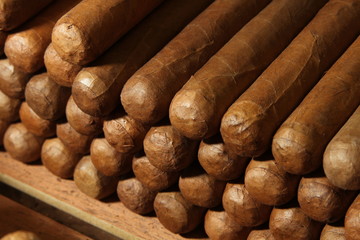 Pile of cuban cigars