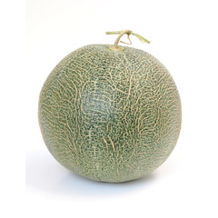 cantaloupe melon isolate on white background