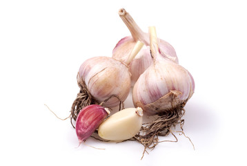 Garlic, isolated on a white