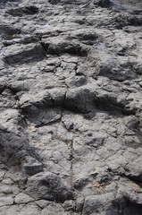 Dinosaur footprints in Asturie, Spain