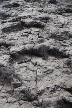 Dinosaur footprints in Asturie, Spain