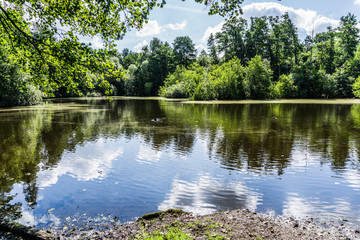 Alster river valley