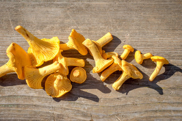 Chanterelles on an old wooden table