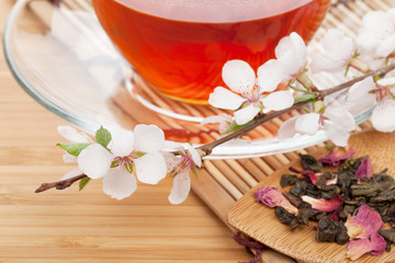 Fototapeta na wymiar Japanese green tea and sakura branch over mat