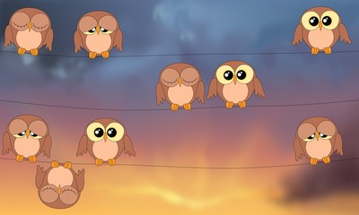 Owls sitting on power lines against stormy sky