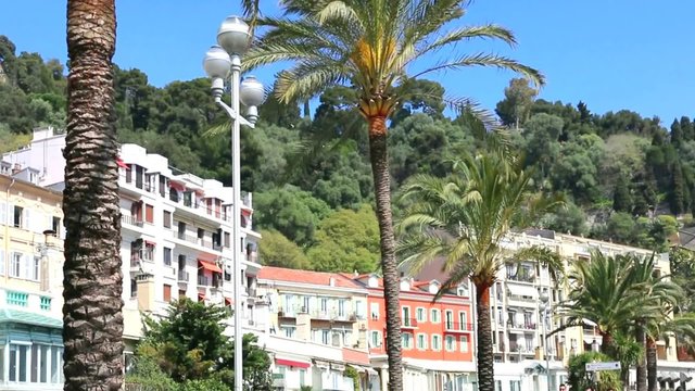 Les palmiers et la colline du ch&acirc;teau &agrave; Nice