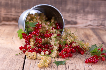 red and white currant