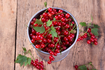 red currant