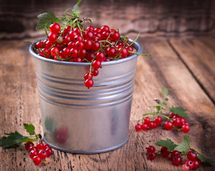 red currant