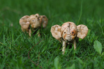 Elephant rattan handmade standing through tall grass