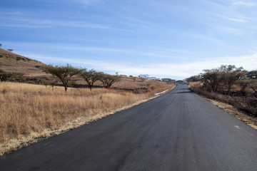 Newly Tarred Road Lined with Dry Grass and Thorn Trees