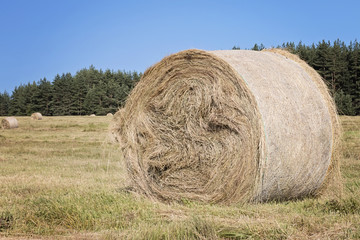 Hay Bales