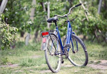 Fototapeta na wymiar Old bike in the orchard