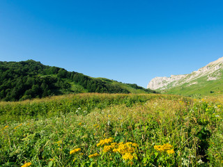 North Caucasus