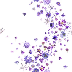 Deurstickers various, violet flower buds breeze, with hyacinths flying to the borders, repeatable and isolated on absolute white © designnatures