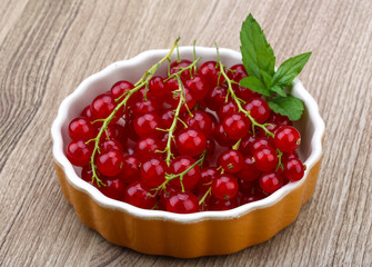 Red currant
