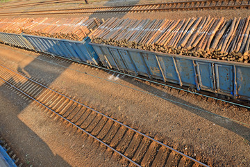railway transport © Tomasz Warszewski
