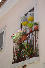 Fototapeta na wymiar Old windows with flower pots