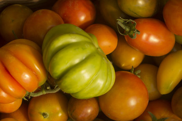 Bright colorful tomatoes close-up lying in a basket after harvest