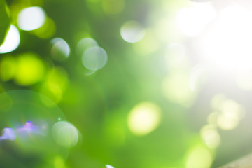 Natural green blurred and bokeh background,Abstract backgrounds.