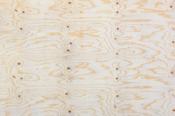 Fototapeta premium Blank plywood texture background