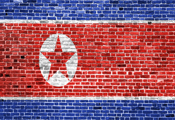 Flag of North Korea painted on brick wall, background texture