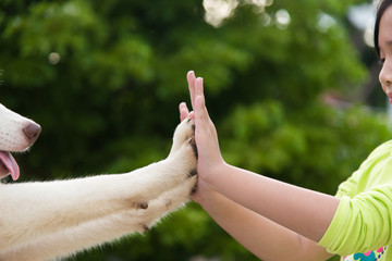 Give me five -Puppy pressing his paw against a Girl hand