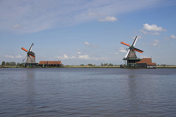 Naklejka premium windmills on the Zaanse Schans