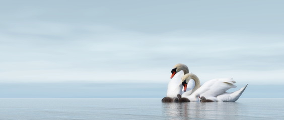 Fototapeta premium Swan family - 3D render