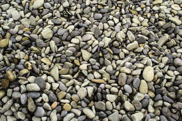 Sea stone